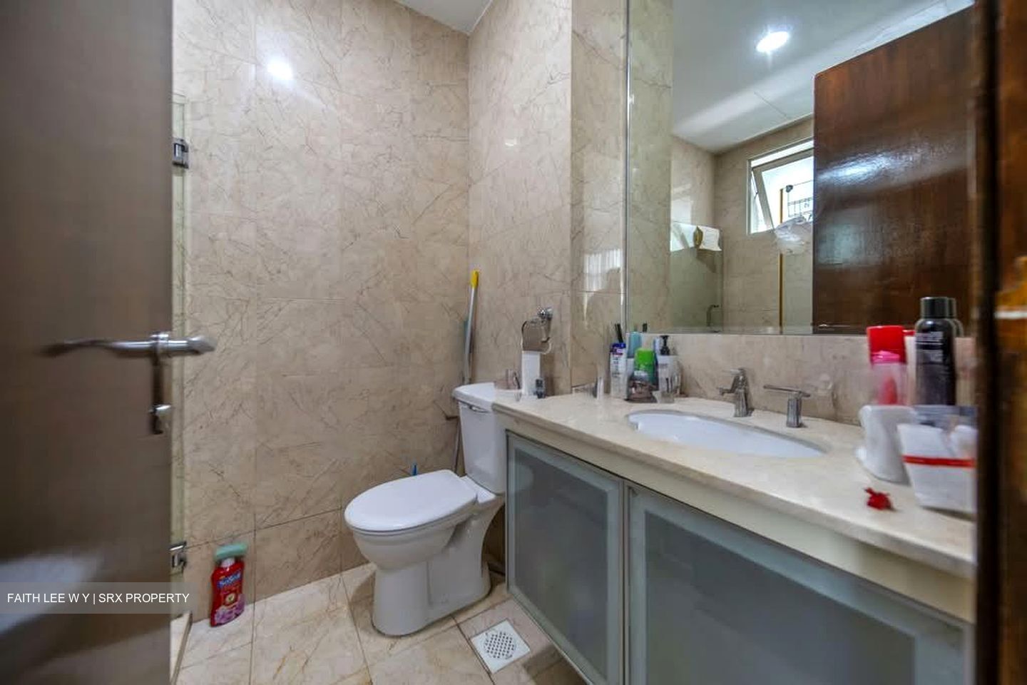 Apleton View (D11), Apartment #536758721